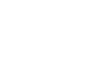 Brink POS